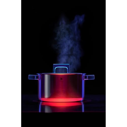 WMF Ultimate Cool Olla 24 cm 6,5L con Tapa, Acero Inoxidable Cromargan Mate, Apta Inducción y Lavavajillas, Sin Revestimiento