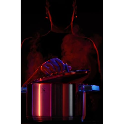 WMF Ultimate Cool Olla 24 cm 6,5L con Tapa, Acero Inoxidable Cromargan Mate, Apta Inducción y Lavavajillas, Sin Revestimiento