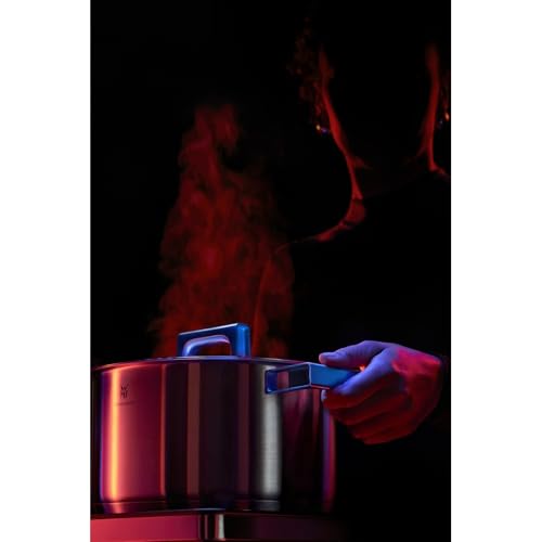 WMF Ultimate Cool Olla 24 cm 6,5L con Tapa, Acero Inoxidable Cromargan Mate, Apta Inducción y Lavavajillas, Sin Revestimiento