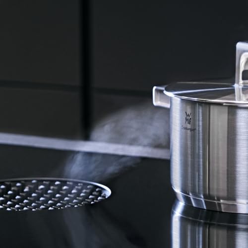 WMF Ultimate Cool Olla 24 cm 6,5L con Tapa, Acero Inoxidable Cromargan Mate, Apta Inducción y Lavavajillas, Sin Revestimiento